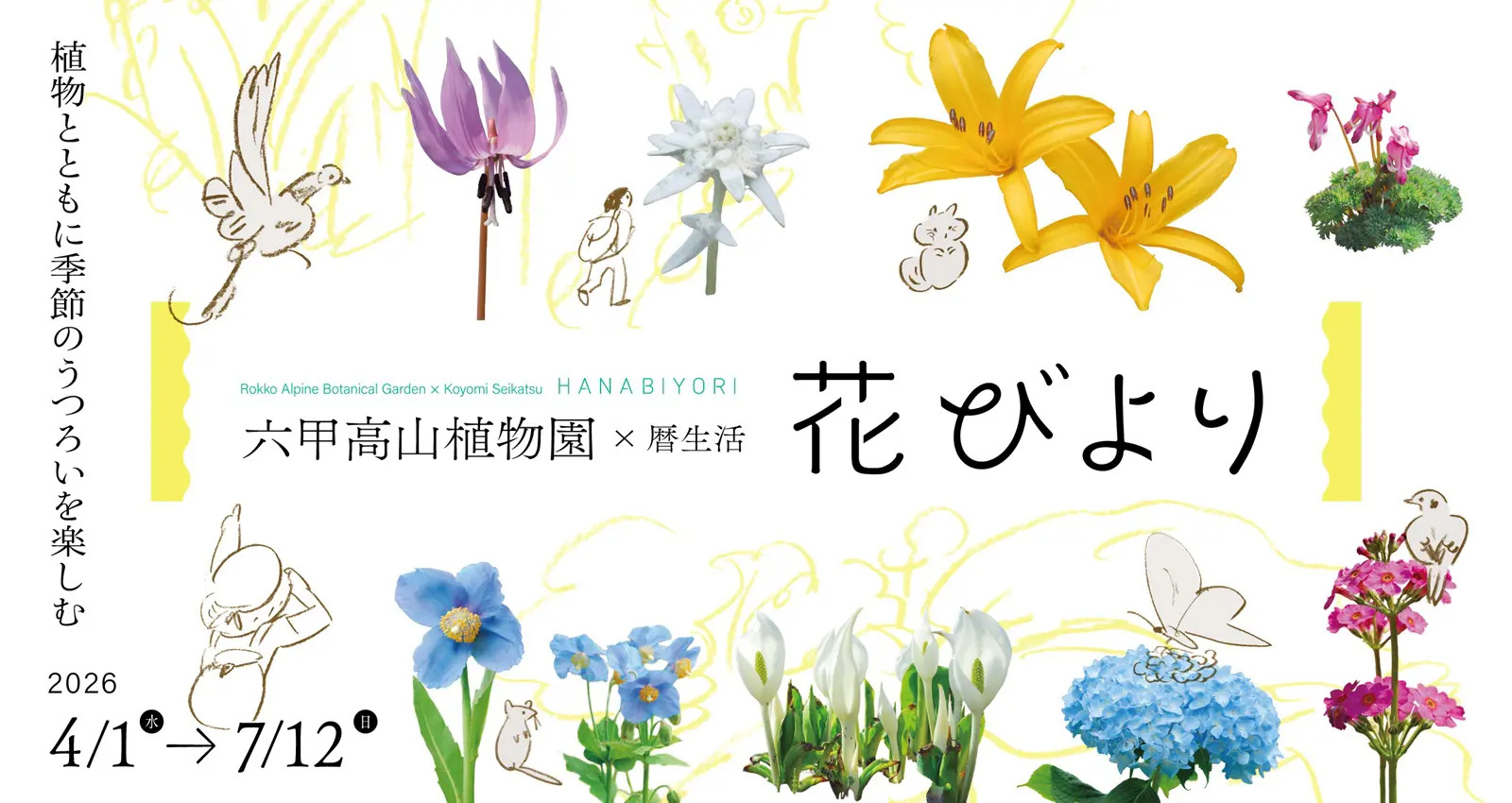 六甲高山植物園×暦生活　花びより（六甲高山植物園）