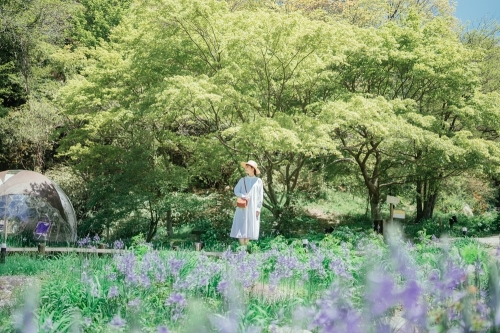 아침 SIKI 가든 & 악기 준비 공개 (ROKKO 숲의 소리 박물관)