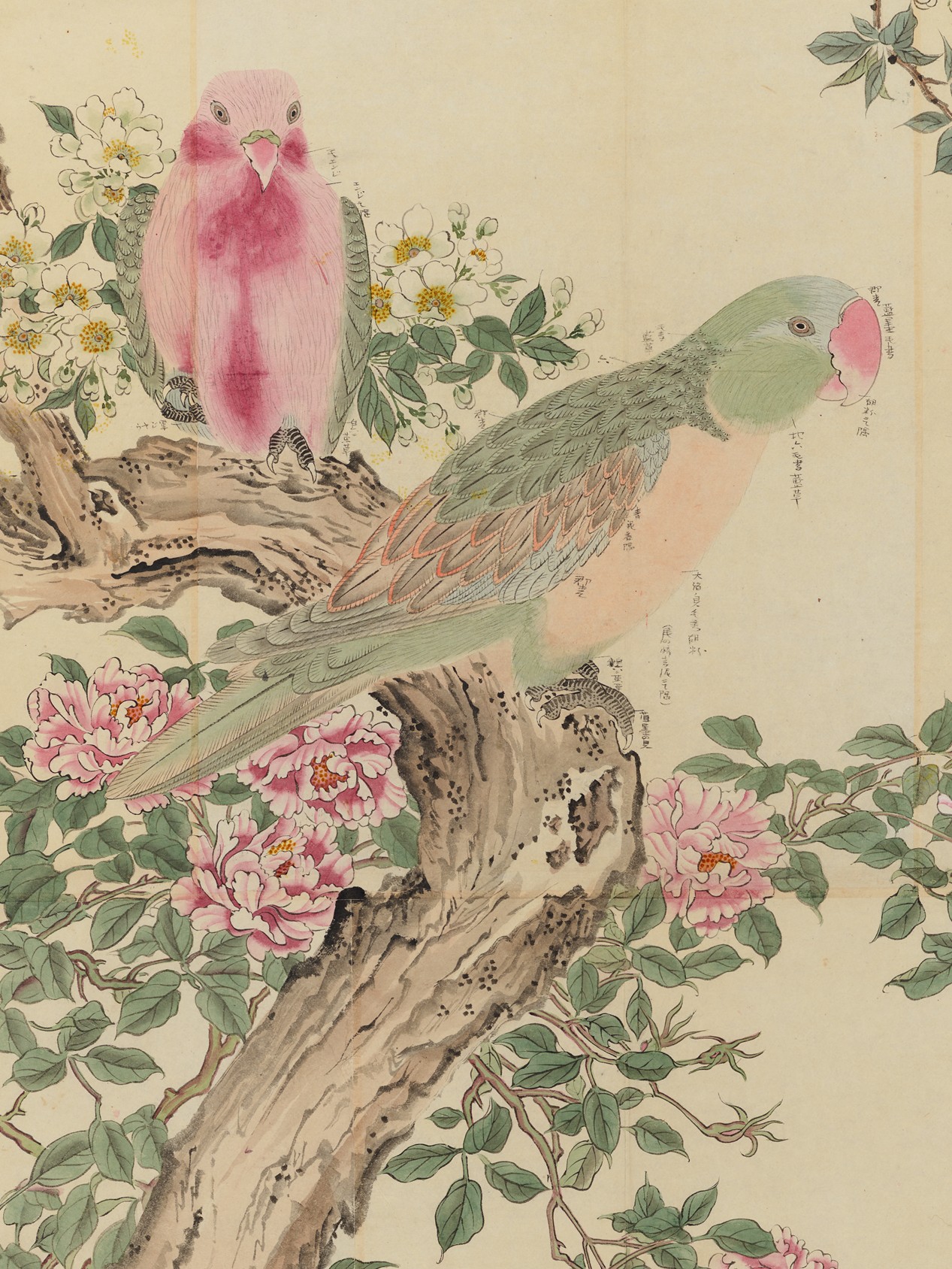 企画展「写すからはじまる創造 ―大阪画壇・五井金水の粉本―」（大阪くらしの今昔館）　