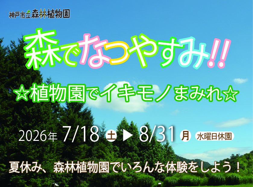 森でなつやすみ！！植物園でイキモノまみれ☆（神戸市立森林植物園）