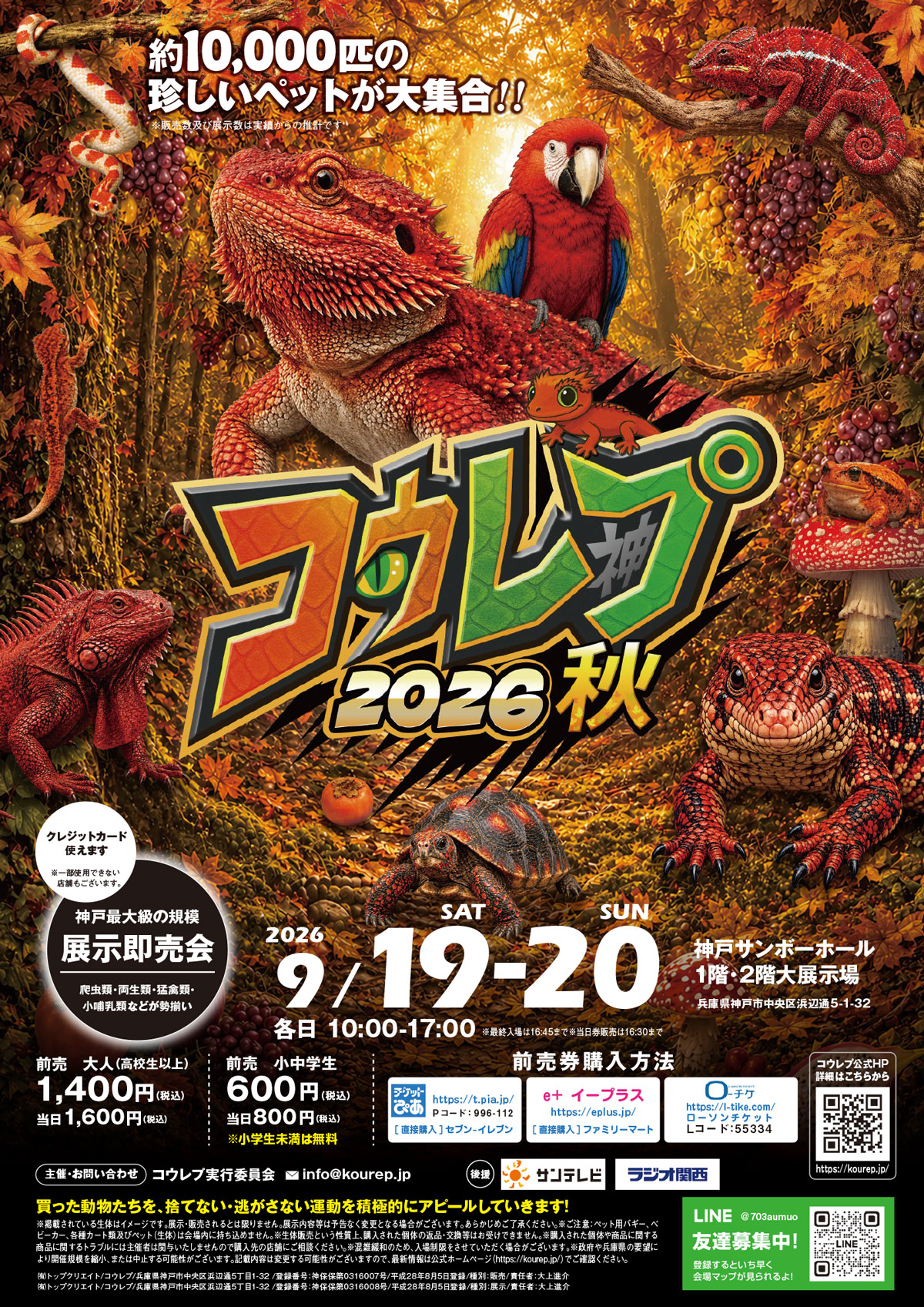 コウレプ2026秋（神戸サンボーホール）