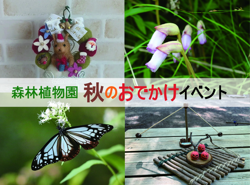 森林植物園 秋のおでかけイベント（神戸市立森林植物園）