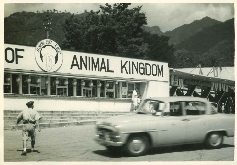 王子动物园开园75周年特别展 (神户市立王子动物园)