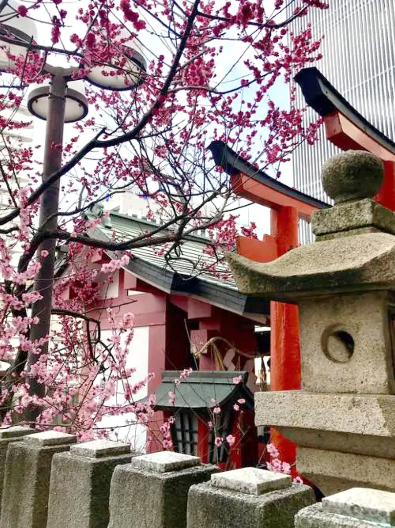 玉 姫 稲荷 神社