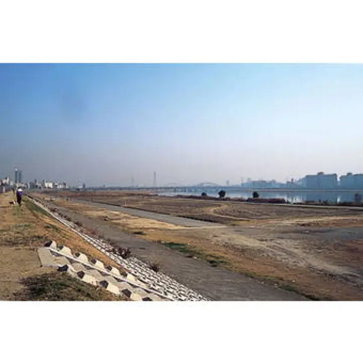 淀川河川公園（十三野草地区）