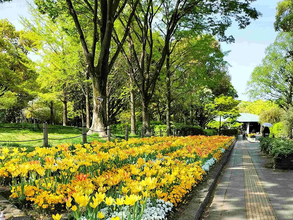 上坂部西公園（尼崎市都市緑化植物園）