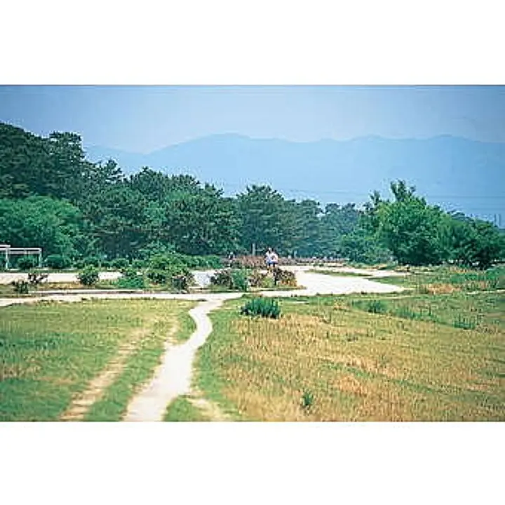 武庫川河川敷緑地（西宮市）