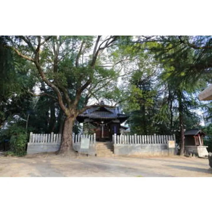 南清水古墳（須佐男神社）