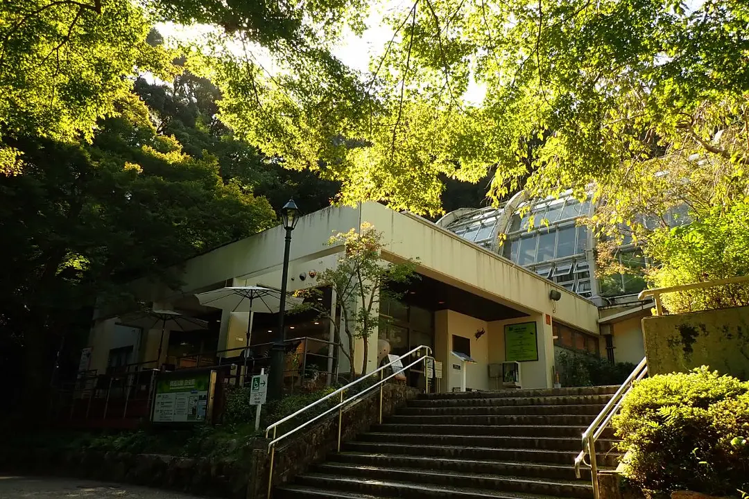 箕面公園昆虫館