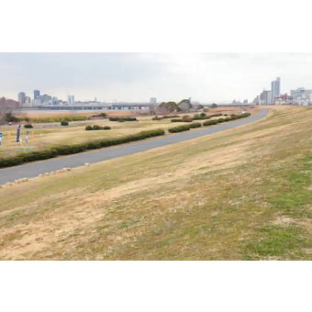 淀川 河川 公園 西 中島 地区