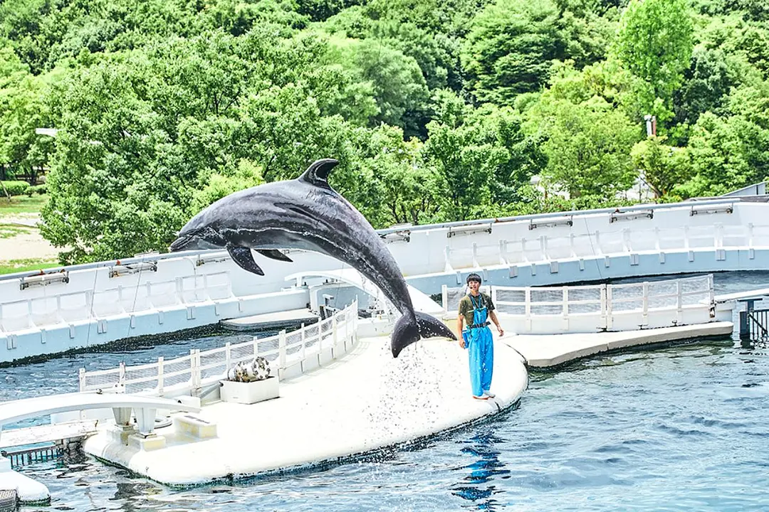 京都水族館