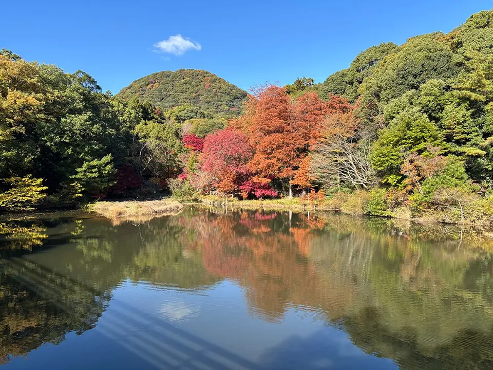 兵庫県立甲山森林公園