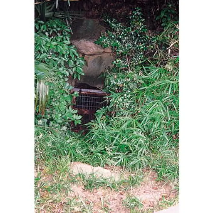 切畑群集墳1号墳