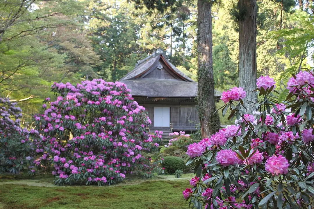 三千院