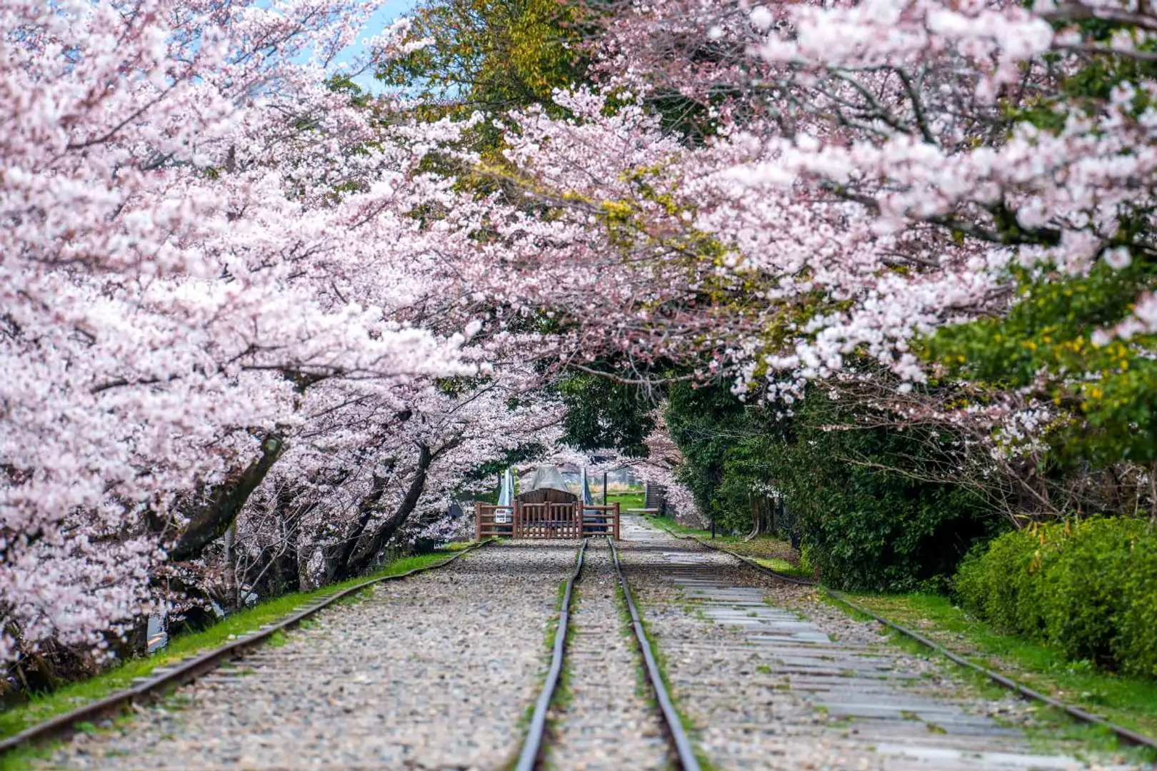 蹴 上 京都