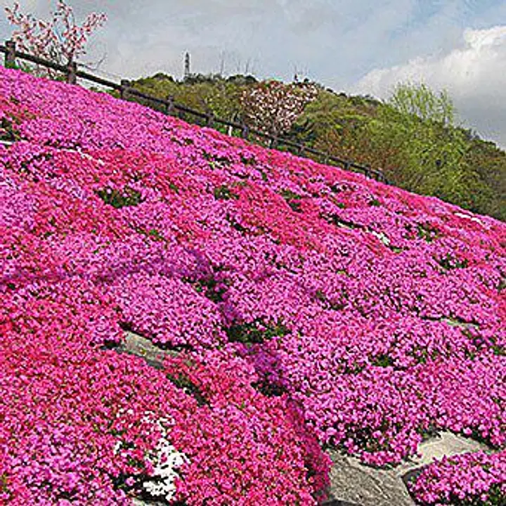 仁川百合野町地区地すべり資料館