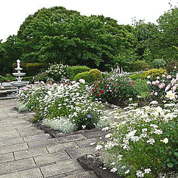 西宮市北山緑化植物園