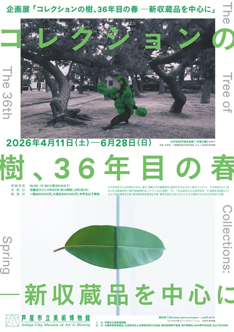 企画展「コレクションの樹、36年目の春 ―新収蔵品を中心に」（芦屋市立美術博物館）.jpg