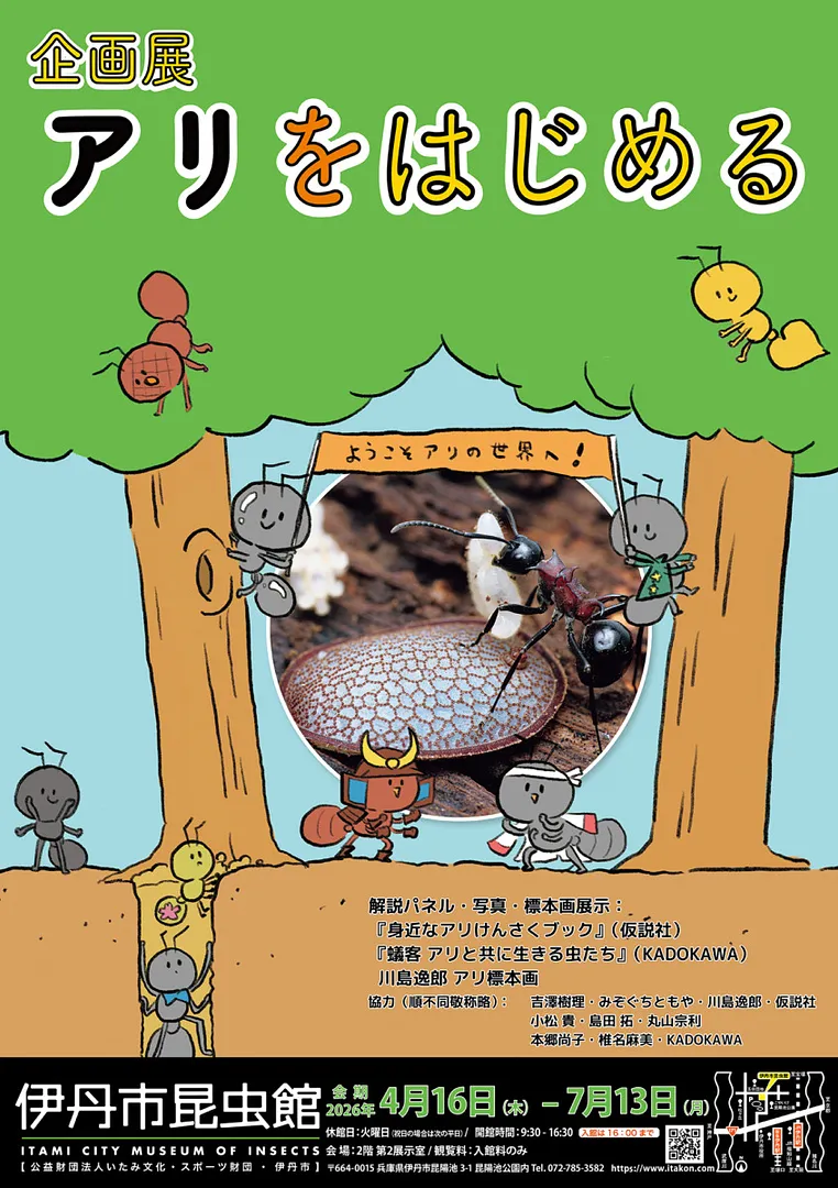 企画展アリをはじめる.jpg