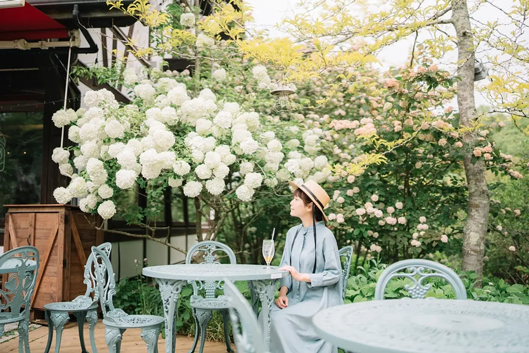 朝のSIKIガーデン＆楽器準備公開（ROKKO森の音ミュージアム）