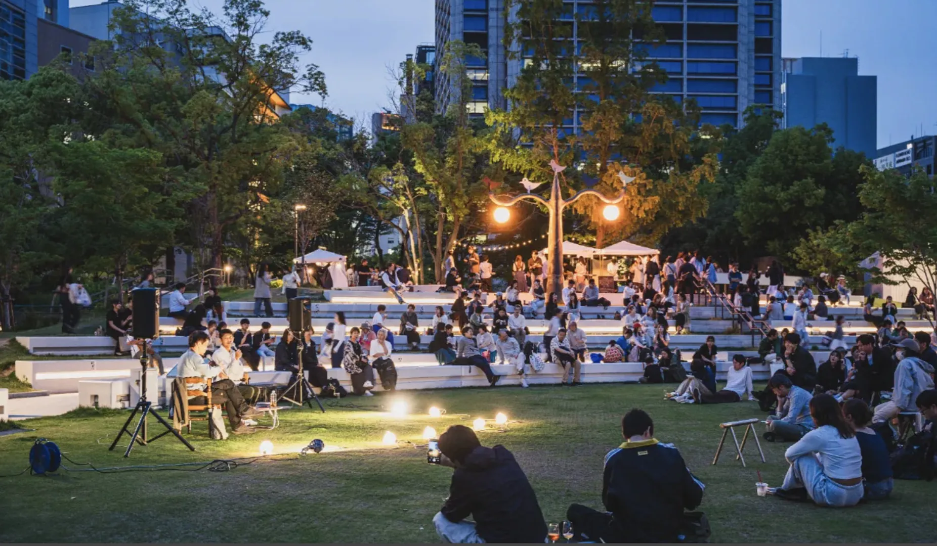 NIGHT PICNIC 2026.jpg