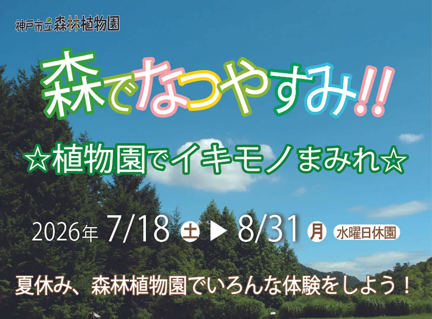 森でなつやすみ！！植物園でイキモノまみれ☆（神戸市立森林植物園）.jpg