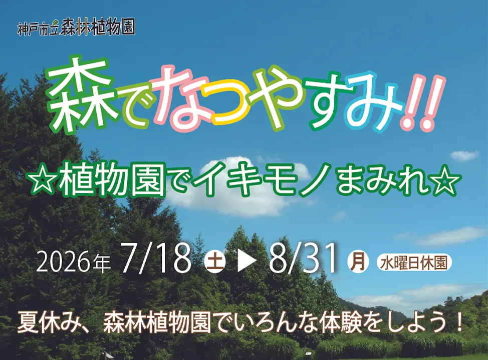 森でなつやすみ！！植物園でイキモノまみれ☆（神戸市立森林植物園）