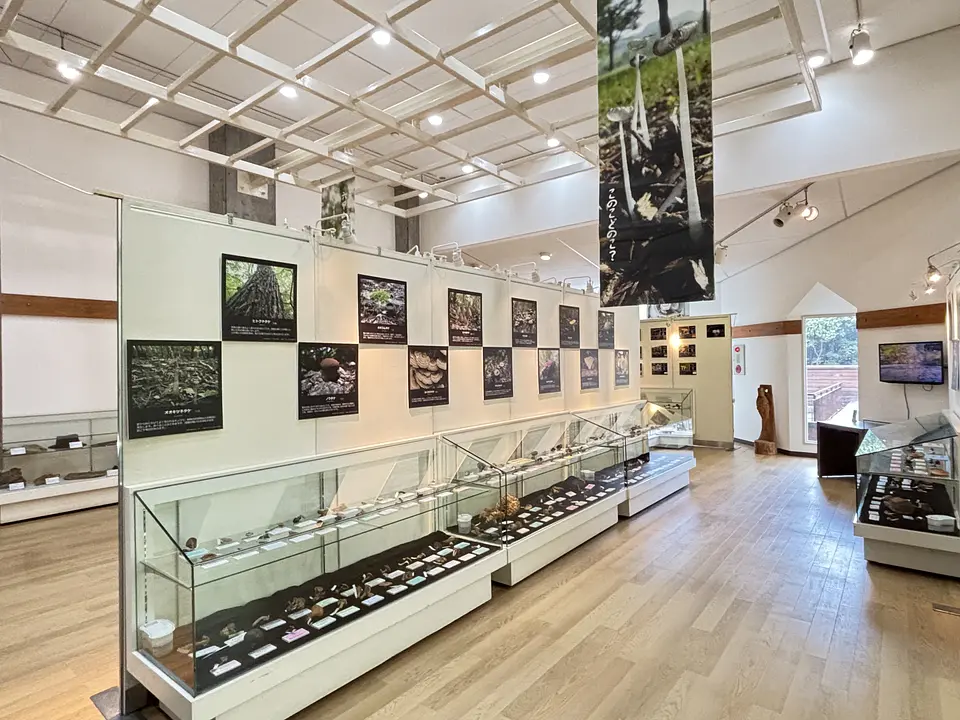 第11回　六甲山のキノコ展 in 森林植物園（神戸市立森林植物園）