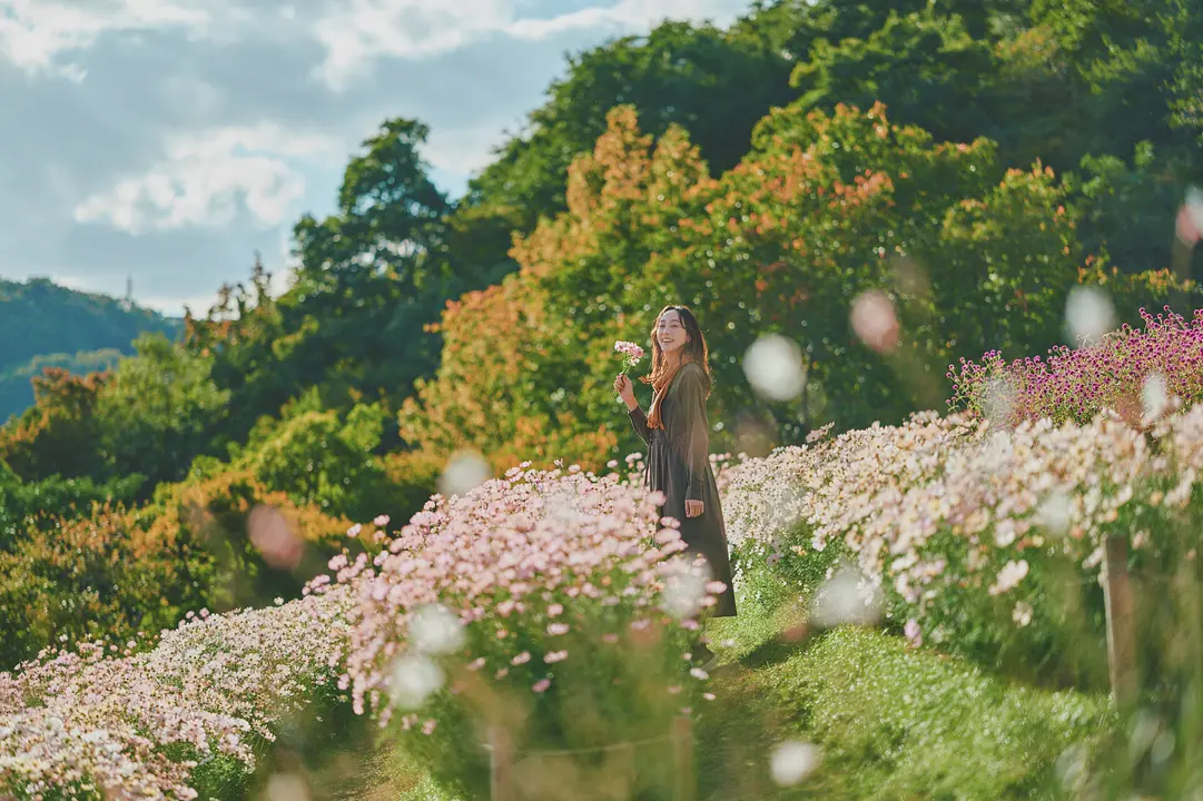GARDEN FEST 2026 -Autumn- のんびり、ぶらり、秋散歩（神戸布引ハーブ園／ロープウェイ）