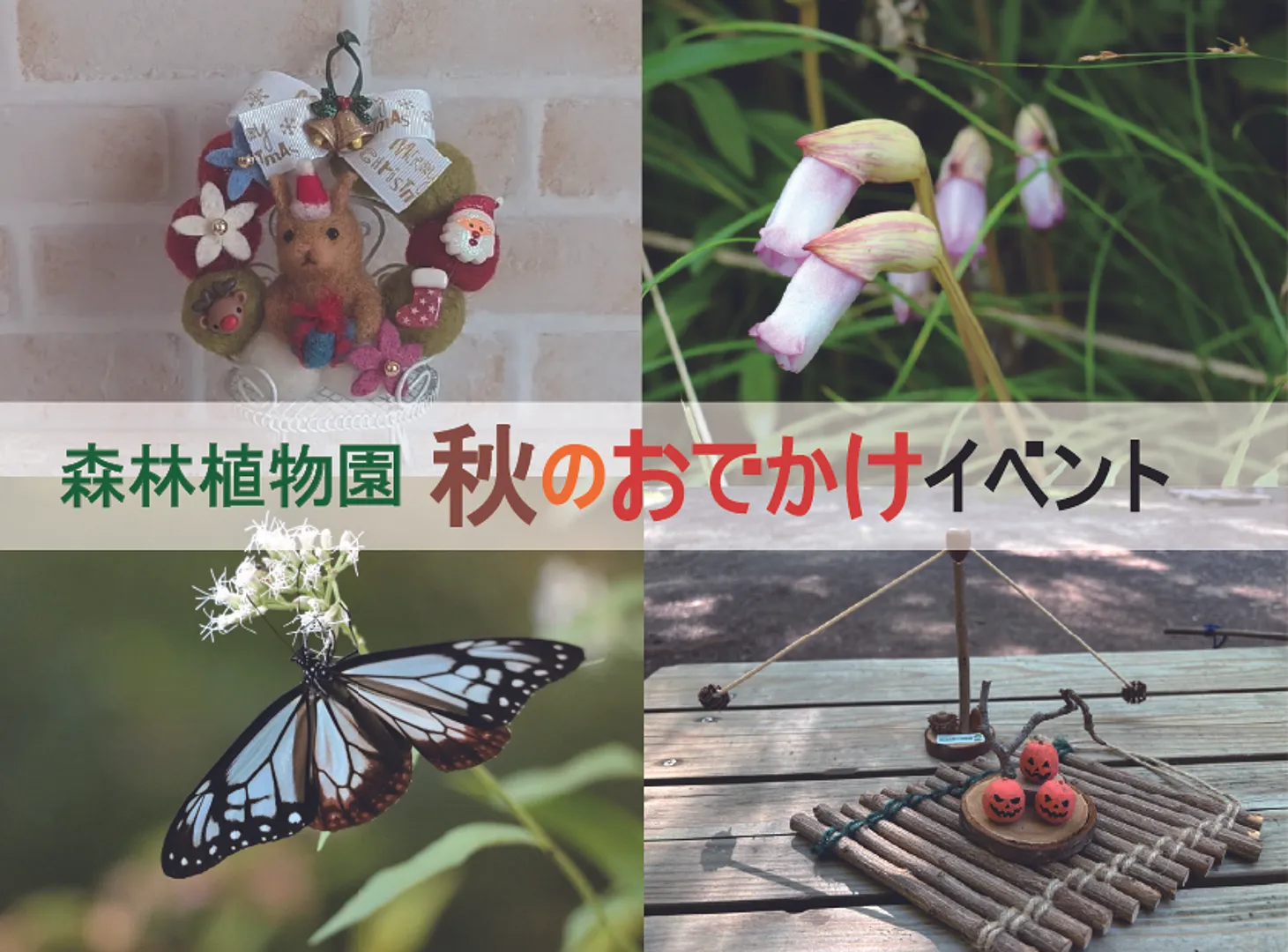 森林植物園秋のおでかけイベント.jpg