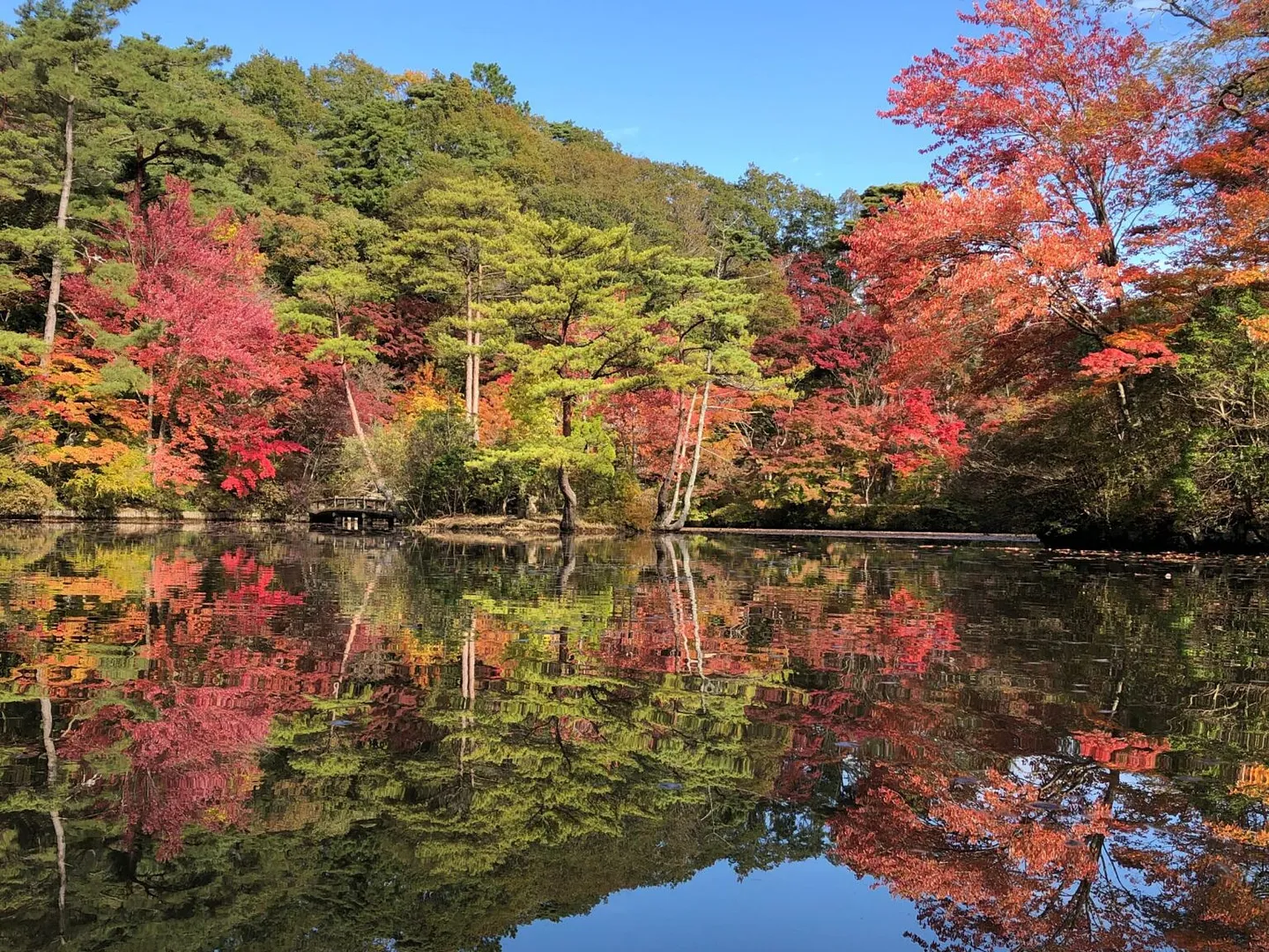 ～世界の森の紅葉めぐり～ 植物園のもみじ散策（神戸市立森林植物園）.jpg