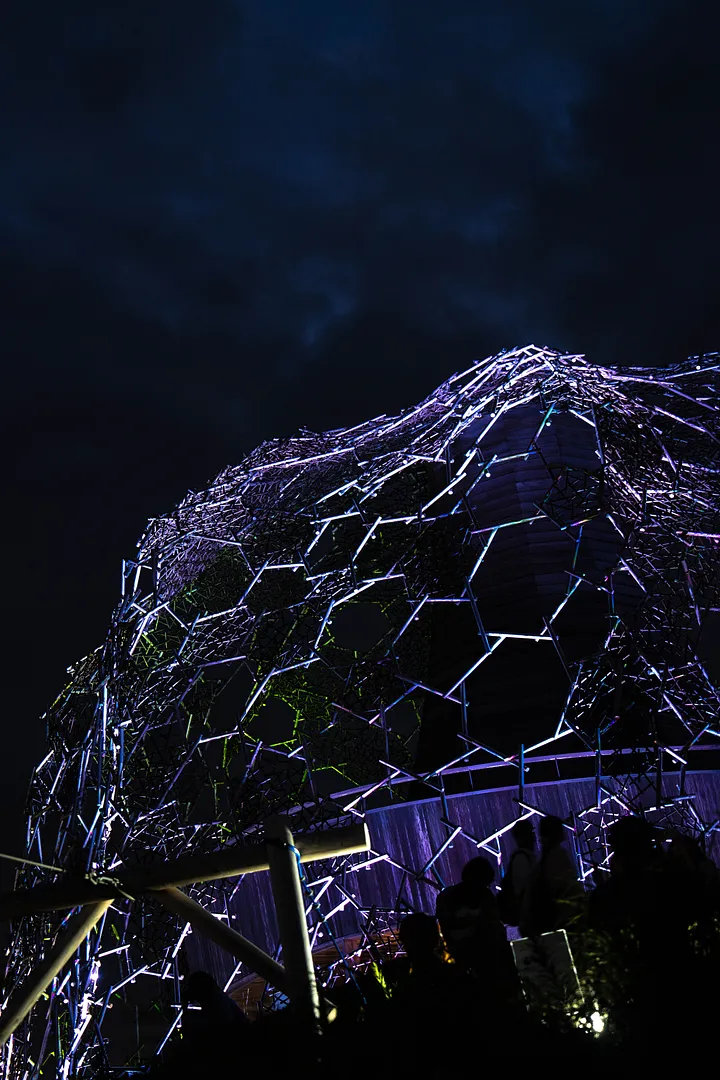 AdobeStock_919482570.jpeg