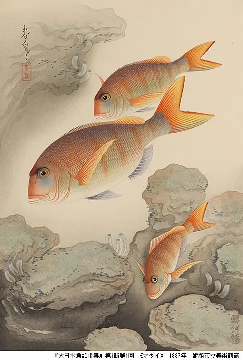 没後50年 大野麥風展「魚の画家」（西宮市大谷記念美術館）.jpg