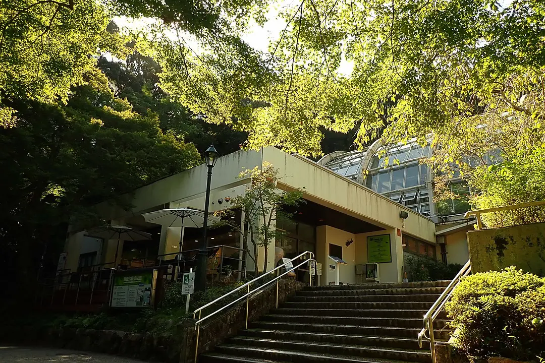 箕面公園昆虫館