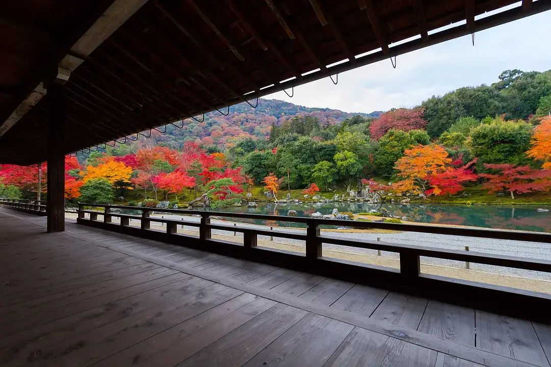 tenryuji_3 (1).webp