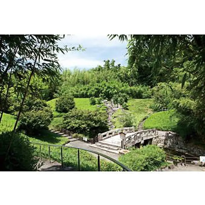 京都市洛西竹林公園