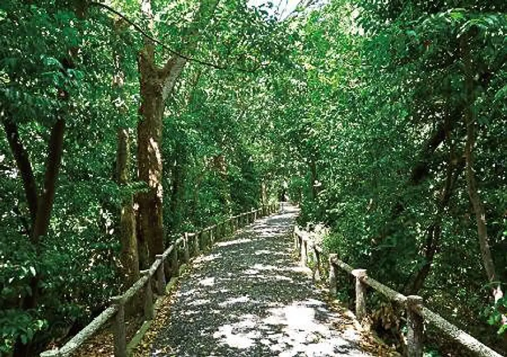 旧猪名川自然歩道